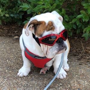 Meet your Posher, Wendy